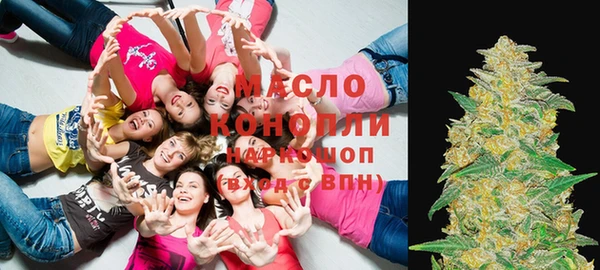 твердый Зеленодольск