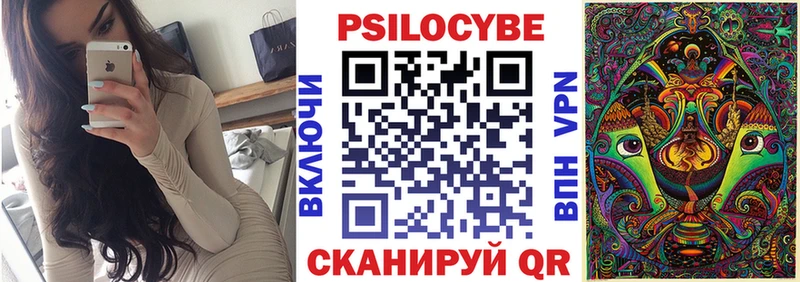 Галлюциногенные грибы Cubensis  Купить закладки  Новоржев 